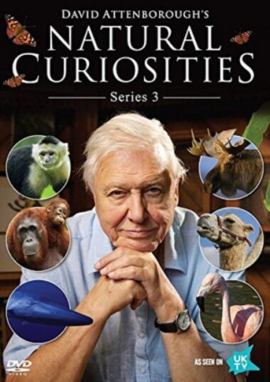 David Attenborough's Natural Curiosities: Series 3 DVD