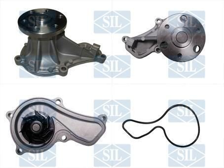 Saleri SIL PA1560 Vannpumpe