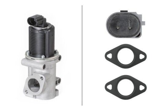 EGR Ventil HELLA 6NU 010 171-541
