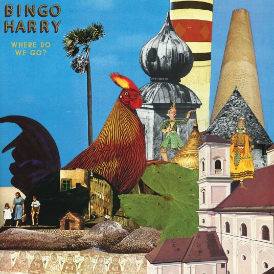 Bingo Harry Where Do We Go? LP/Vinyl Bingo Harry Where Do We Go? LP/Vinyl