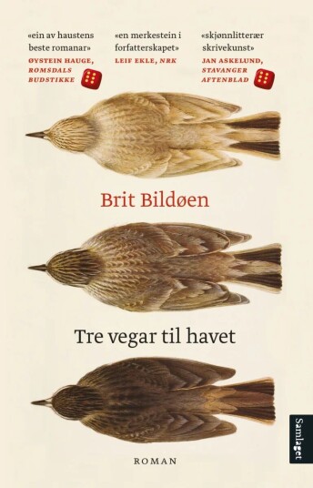 Tre Vegar Til Havet Av Brit Bildøen