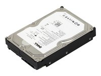 Dell - Harddisk - 750 Gb - Intern - 3.5" - Sata 3Gb/S - 7200 Rpm - Oppusset - For Poweredge R805, R905, T605