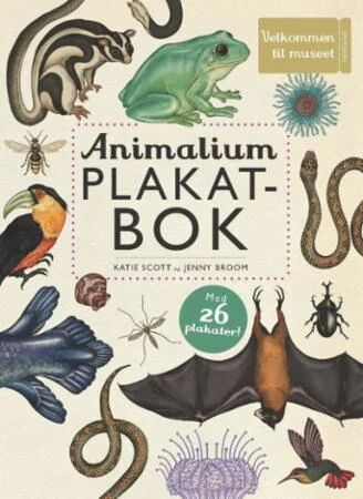 Animalium Av Jenny Broom, Katie Scott