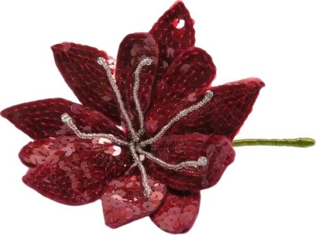 Maliparmi Dame Accessories Rød ONE SIZE, Maliparmi Dame Accessories Rød ONE SIZE,