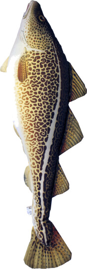 Fiskepute - Torsk - Gadus Morhua - 75 cm Fiskepute - Torsk - Gadus Morhua - 75 cm