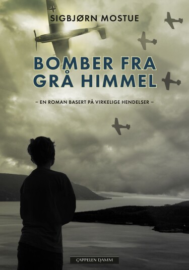Bomber fra grå himmel en roman basert på virkelige hendelser