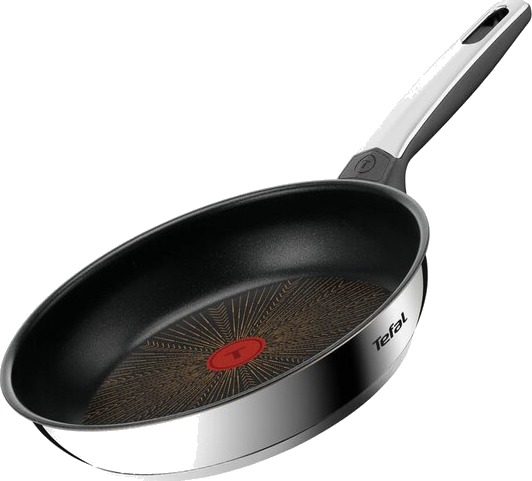 Tefal Emotion Plus Flavors SS stekepanne 24 cm