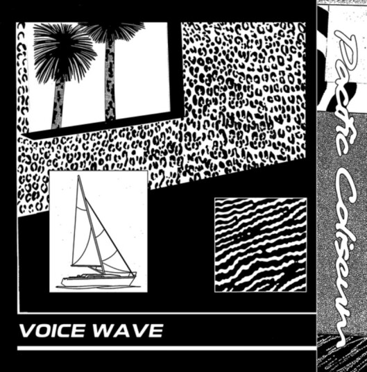 Voice Wave
