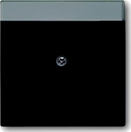 Abb Impressivo 1800-885 Midtplate Matt Svart, RJ45, Støvbeskyttelse