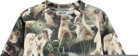 Molo Collegegenser Disk Fabel Forest Molo 4 år (104) Collegegenser Armygrønn Beige Brun Grønn Molo Collegegenser Disk Fabel Forest Molo 4 år (104) Collegegenser Armygrønn Beige Brun Grønn