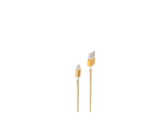 Shiverpeaks Bs14-50046, 0,9 M, Lightning, Usb A, Hankjønn, Hankjønn, Gull