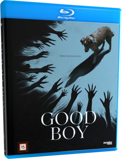 Good Boy 2025 Bluray