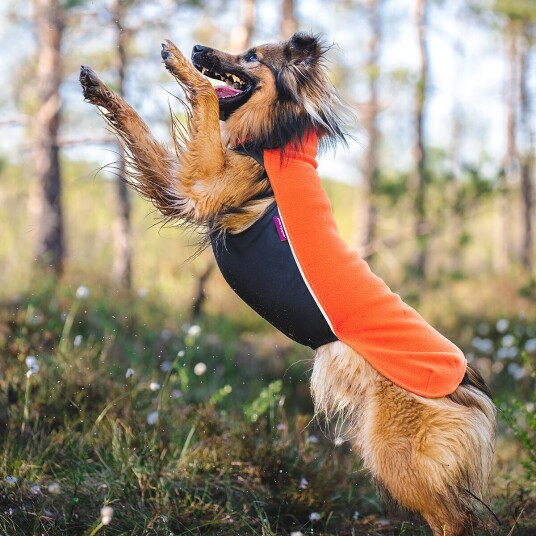 Pomppa Jumppa Hundegenser Habanero