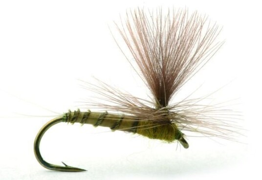 Umpqua Flies Biot Dun Olive