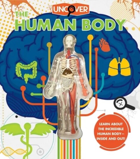 Uncover the Human Body av Luann Colombo