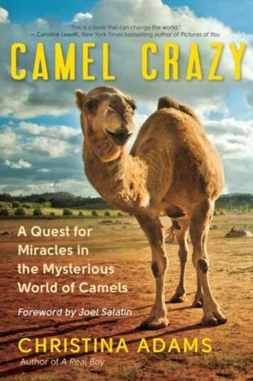 Camel Crazy  A Quest for Healing in the Secret World of Camels