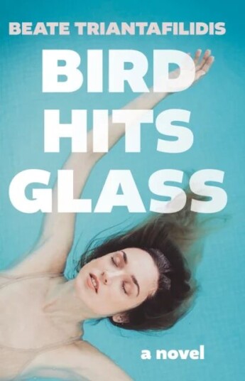 Bird Hits Glass Av Beate Triantafilidis Bird Hits Glass Av Beate Triantafilidis