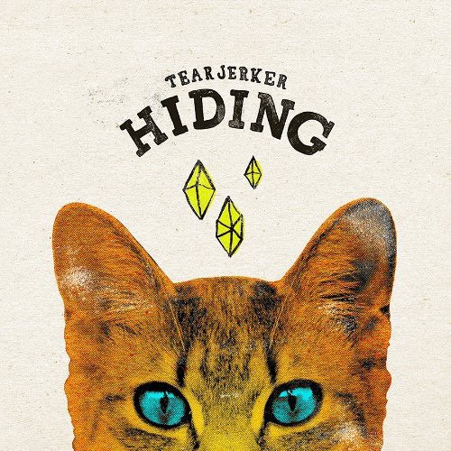 Hiding Vinyl