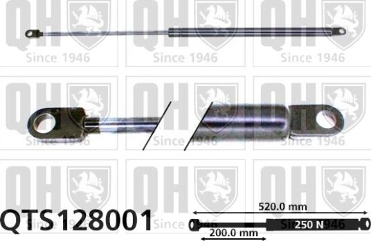 QUINTON HAZELL QTS128001 Baklukedemper
