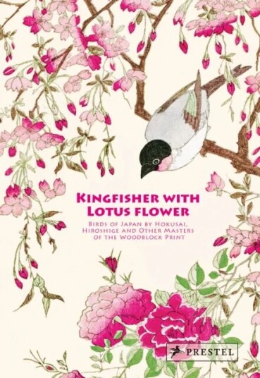 Kingfisher With Lotus Flower Av Anne Sefrioui