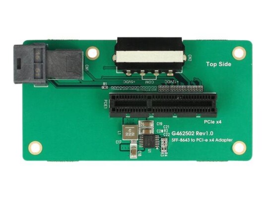 Delock Adapter SFF-8643 > PCIe x4 - Internbussutvider