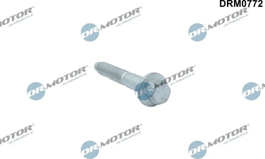 Skrue, innsprøytningsdyseholder DR.MOTOR AUTOMOTIVE DRM0772