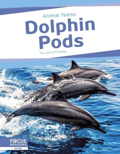Dolphin Pods Dolphin Pods