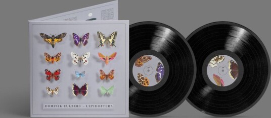 Dominik Eulberg Lepidoptera Vinyl