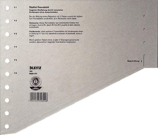 LEITZ Divid.Landsc.A4 GR (100)