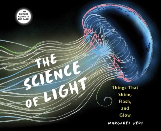 The Science Of Light Av Margaret Peot