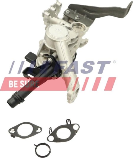 EGR Ventil FAST FT60246