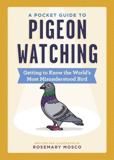 A Pocket Guide to Pigeon Watching Getting to Know the World's Most Misunderstood Bird