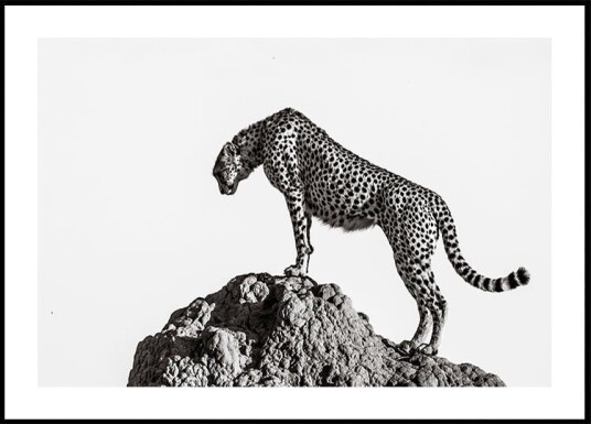 the hunter Plakat / 30x40cm