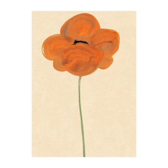 Paper Collective Orange Vallmo poster 50 x 70 cm