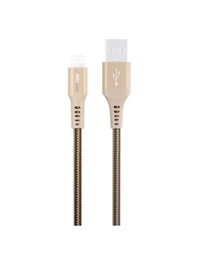 GreyLime USB-A to Lightning 0.5m Beige C21AL05M02