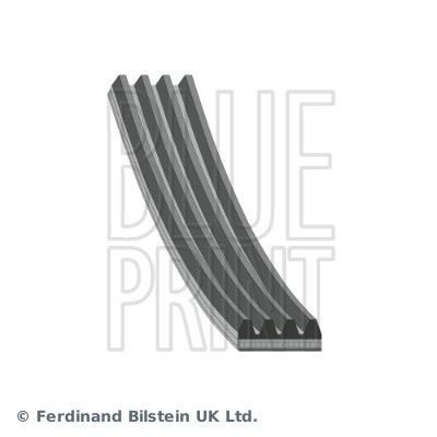 Kileribberem BLUE PRINT AD04R673