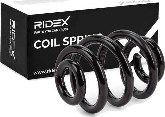 RIDEX 188C0281 Fjær