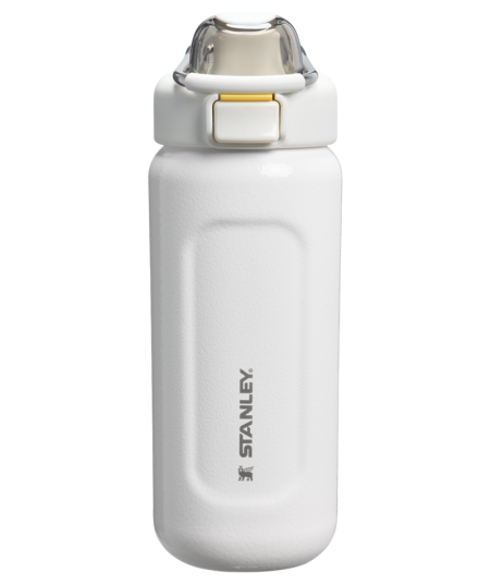 Stanley Wellspring Bottle Stanley Wellspring Bottle