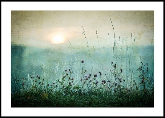 Autumn sunrise Plakat Plakat / 30x40cm