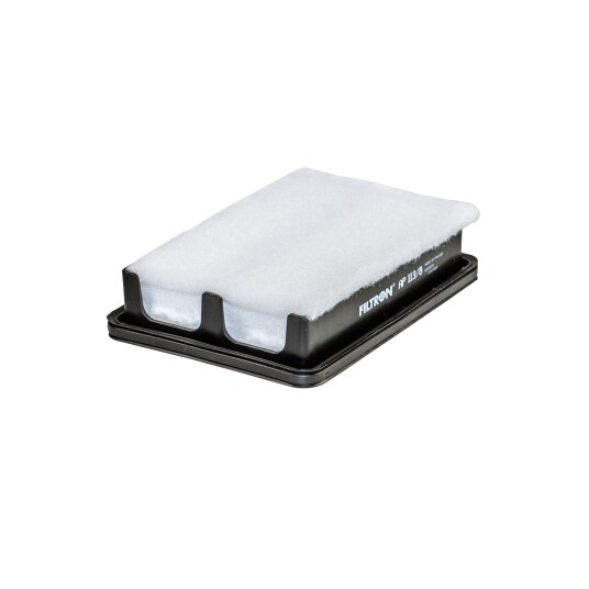 Luftfilter FILTRON AP 113/8 Luftfilter FILTRON AP 113/8