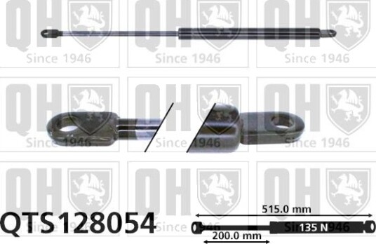 QUINTON HAZELL QTS128054 Baklukedemper