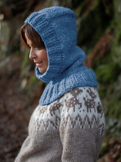 221K-12b MJUK hood