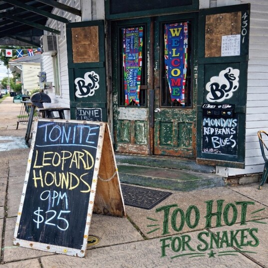 Leopard Hounds Too Hot For Snakes CD