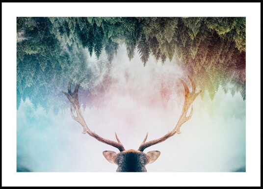 Antler Plakat Plakat / 30x40cm Antler Plakat Plakat / 30x40cm