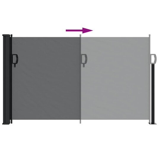  Uttrekkbar sidemarkise svart 120x300 cm 4004279