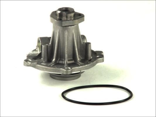THERMOTEC D1W026TT Vannpumpe