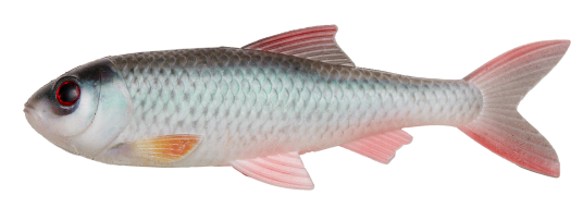 PulzBait Starter Kit Roach 15cm   Roach