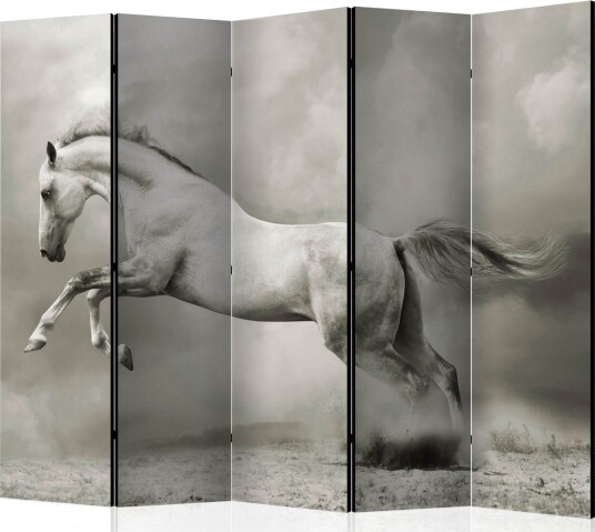 Romdeler - Wild Stallion II 225x172 - Artgeist sp. z o. o.
