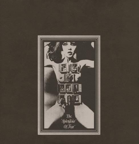 Felt The Splendour Of Fear LP/Vinyl Felt The Splendour Of Fear LP/Vinyl