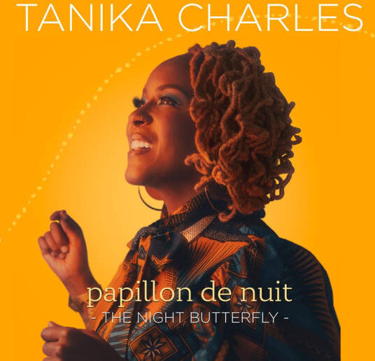 Papillon De Nuit: The Night